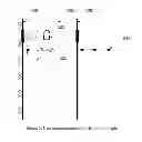 Fig. 06 - Touch display unlock mechanism