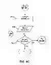 Fig. 07 - End-to end proof of display