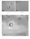 Fig. 08 - Water extraction using a directional solvent