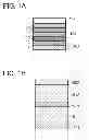 Fig. 02 - Heterocyclic compound, light-emitting element, light-emitting device, electronic device, and lighting device