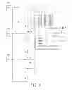 Fig. 02 - Voltage measuring apparatus for buck circuit