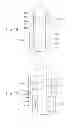 Fig. 11 - Force sense presentation apparatus
