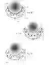 Fig. 09 - Concentric millimeter-waves beam forming antenna system implementation