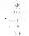 Fig. 02 - DISPLAY APPARATUS AND IMAGE PROCESSING METHOD