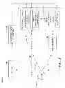 Fig. 02 - Visual focus-based control of coupled displays