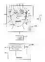 Fig. 01 - METHOD FOR USING VIRTUAL FACIAL AND BODILY EXPRESSIONS