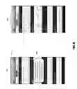 Fig. 09 - Quick data entry lanes for touch screen mobile devices