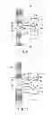 Fig. 08 - TELEVISION AND ELECTRONIC APPARATUS