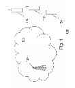 Fig. 02 - METHOD AND APPARATUS FOR SYNCHRONIZATION IN A DYNAMIC SPECTRUM ACCESS (DSA) COGNITIVE RADIO SYSTEM