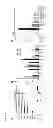 Fig. 04 - HISTAMINE-RELEASING FACTOR (HRF), HRF-RECEPTOR AND METHODS OF MODULATING INFLAMMATION
