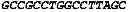 Fig. 44 - Therapeutic RNA interference technology targeted to the PDX-1 oncogene in PDX-1 expressing neuroendocrine tumors