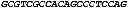 Fig. 45 - Therapeutic RNA interference technology targeted to the PDX-1 oncogene in PDX-1 expressing neuroendocrine tumors