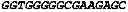 Fig. 83 - Therapeutic RNA interference technology targeted to the PDX-1 oncogene in PDX-1 expressing neuroendocrine tumors