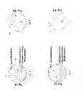 Fig. 07 - Prevention of particle adders when contacting a liquid meniscus over a substrate