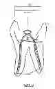 Fig. 08 - Pressure Wave Root Canal Cleaning System