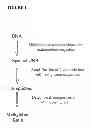 Fig. 02 - METHYLATION PROFILING OF DNA SAMPLES