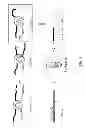 Fig. 02 - Chromosome conformation analysis
