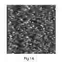 Fig. 02 - Platform comprising an organic field-effect transistor for biological and medical applications