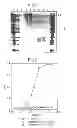 Fig. 02 - Cell Culture Compositions Capable of Producing a VEGF-Binding Fusion Polypeptide