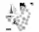 Fig. 01 - Use of nanoparticles for labelling oil field injection waters