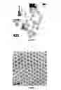 Fig. 02 - Use of nanoparticles for labelling oil field injection waters