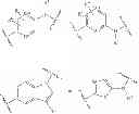 Fig. 07 - Method for assay on the effect of vascularization inhibitor