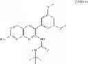 Fig. 49 - Method for assay on the effect of vascularization inhibitor