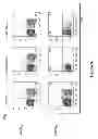 Fig. 09 - Amido compounds as RORγt modulators and uses thereof