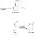 Fig. 02 - Process for preparing caprolactam and polyamides therefrom