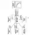 Fig. 62 - SYSTEM AND METHOD FOR SELECTIVE MEASUREMENT OF FIBER OPTIC INSTRUMENT SENSORS