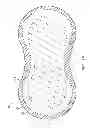 Fig. 07 - Adherent device with multiple physiological sensors