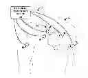Fig. 01 - Evaluation of cardiac dyssynchrony based on chest wall motion and electrical cardiac activity