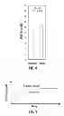 Fig. 06 - PLASMA-TREATED DIALYSIS CATHETER CUFF