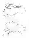 Fig. 02 - Devices, systems and methods for treating pain with electrical stimulation