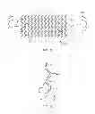 Fig. 03 - MODIFIED SCAFFOLDS FOR PERIPHERAL APPLICATIONS