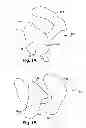 Fig. 02 - SYNTHETIC BONE MODEL AND METHOD FOR PROVIDING SAME