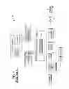 Fig. 02 - Time multiplexing POS for INAisle scanning