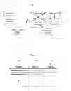 Fig. 03 - INFORMATION SEARCH SYSTEM, SEARCH SERVER AND PROGRAM