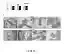 Fig. 22 - COMPOSITIONS AND METHODS FOR REDUCING AND DETECTING VIRAL INFECTION