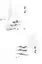 Fig. 46 - Cushion for patient interface
