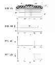 Fig. 05 - APPARATUS FOR MANUFACTURING TEMPLATE AND METHOD FOR MANUFACTURING TEMPLATE