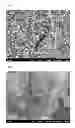 Fig. 07 - CATALYST COATING AND PROCESS FOR PRODUCING IT