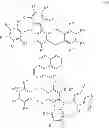 Fig. 35 - Light-emitting element, light-emitting device, electronic device, lighting device, and pyrene-based compound