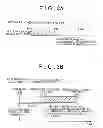 Fig. 04 - ELECTRIC CHARGING SYSTEM AND ELECTRIC CHARGING METHOD