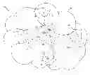 Fig. 01 - Simple topology transparent zoning in network communications