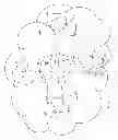 Fig. 03 - Simple topology transparent zoning in network communications