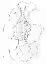 Fig. 10 - Simple topology transparent zoning in network communications