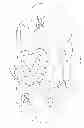 Fig. 12 - Simple topology transparent zoning in network communications