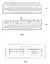 Fig. 02 - MOBILE NODE, HANDOVER ADDRESS ACQUISITION METHOD AND SYSTEM THEREOF, AND DHCP SERVER