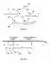 Fig. 04 - Method and arrangement in a communication network